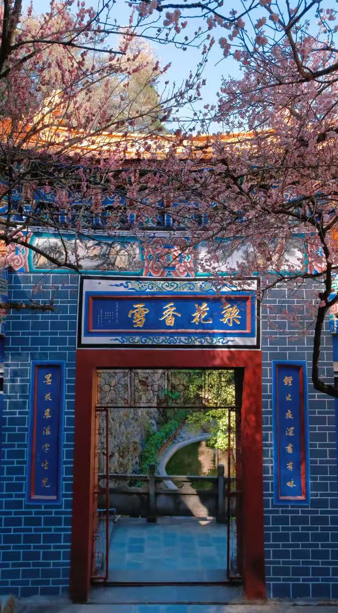 梨花坞梨花古寺风景